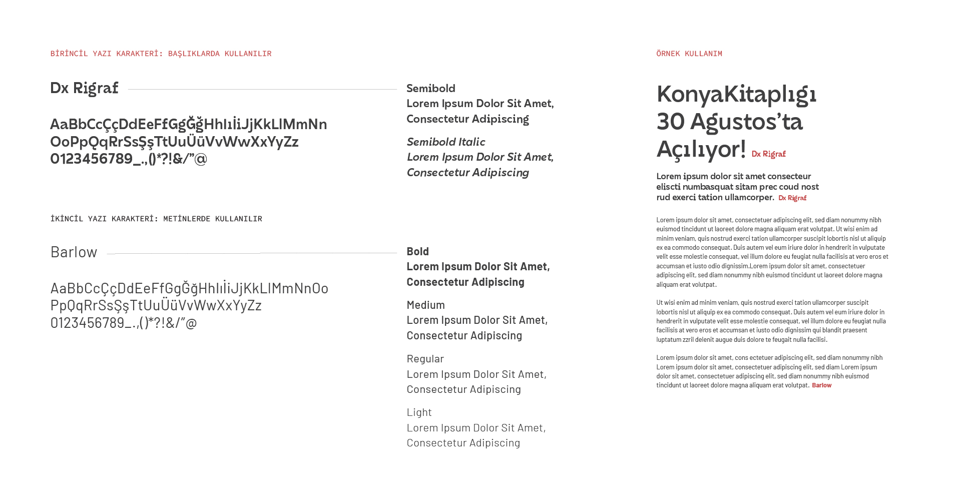 Konya City Library